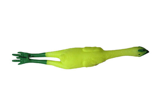 Glow in the Dark Rubber Chicken - Image 3