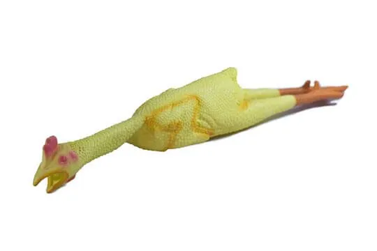 Rubber Chicken